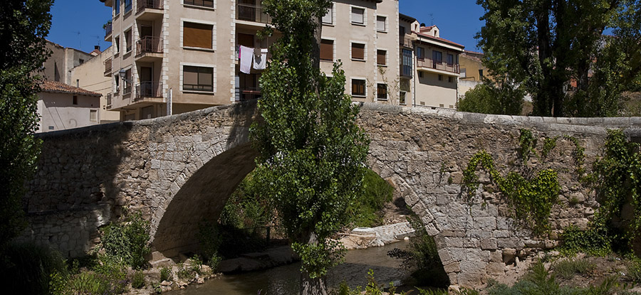 10 pistas para una escapada a Aranda de Duero